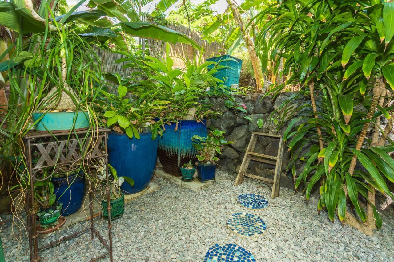 Mango Retreat Villa Kailua-Kona Luaran gambar